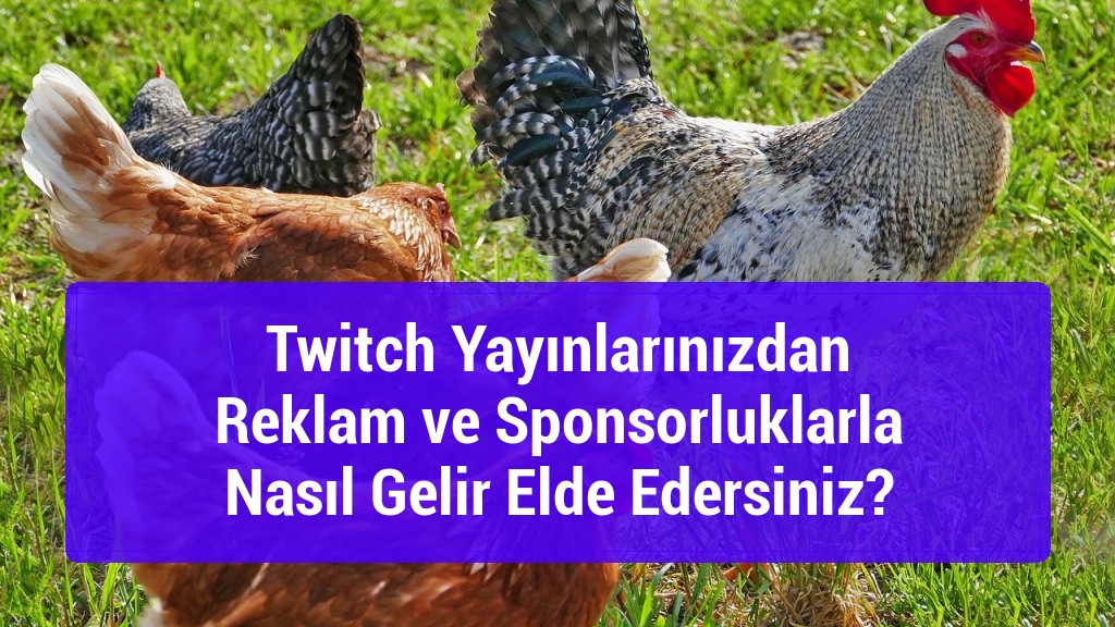 Twitch Yayınlarınızdan Reklam ve Sponsorluklarla Nasıl Gelir Elde Edersiniz?