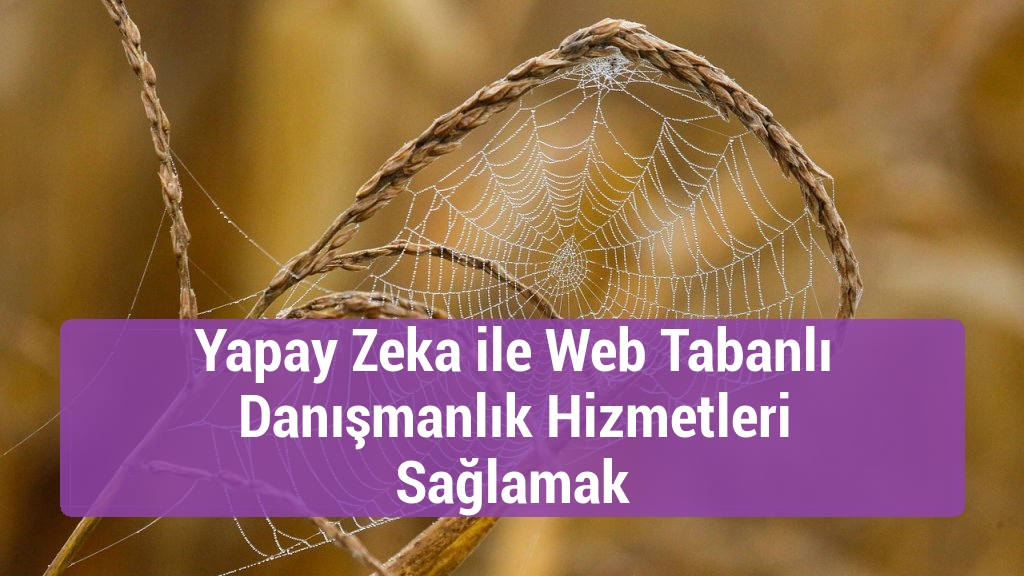 Yapay Zeka ile Web Tabanlı Danışmanlık Hizmetleri Sağlamak