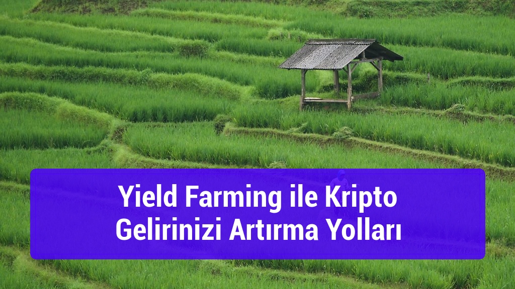 Yield Farming ile Kripto Gelirinizi Artırma Yolları