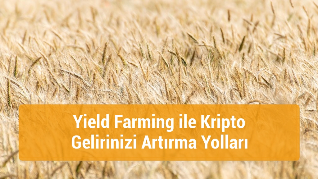 Yield Farming ile Kripto Gelirinizi Artırma Yolları