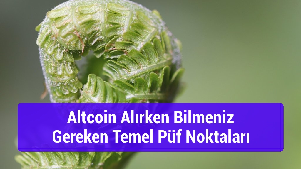 Altcoin Alırken Bilmeniz Gereken Temel Püf Noktaları