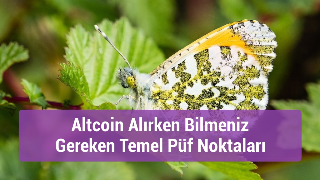 Altcoin Alırken Bilmeniz Gereken Temel Püf Noktaları