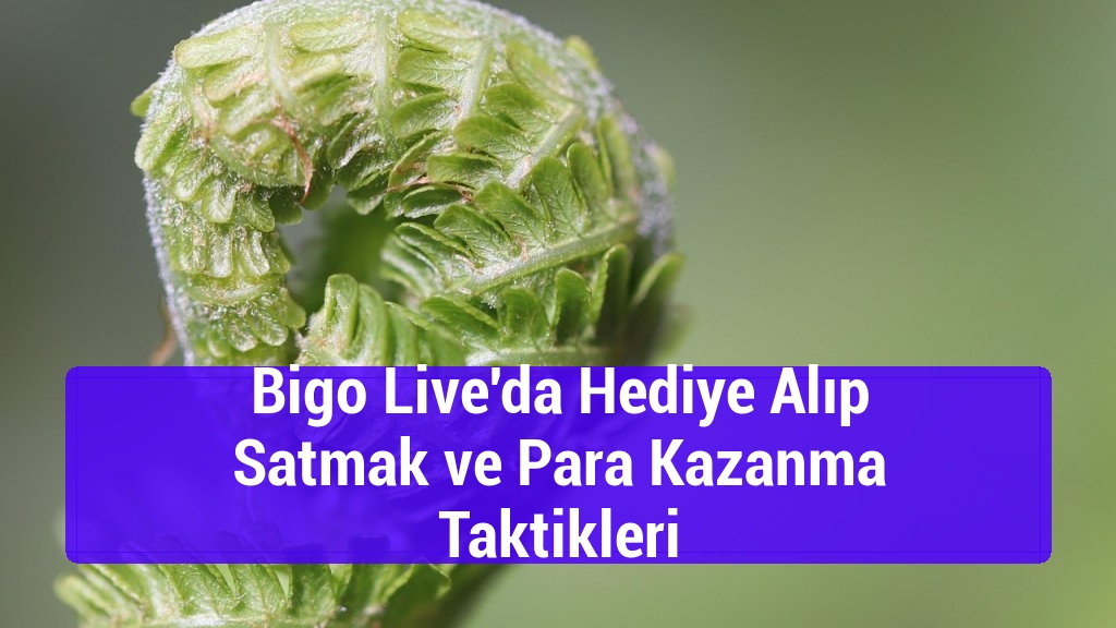 Bigo Live'da Hediye Alıp Satmak ve Para Kazanma Taktikleri