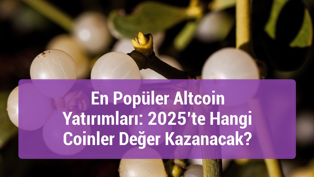 En Popüler Altcoin Yatırımları: 2025’te Hangi Coinler Değer Kazanacak?