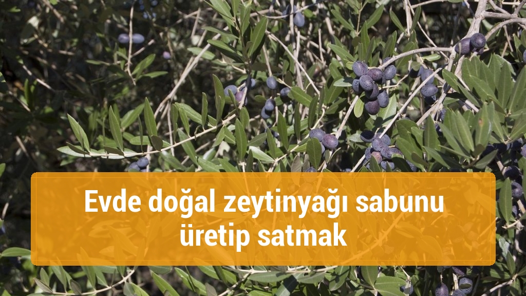 Evde doğal zeytinyağı sabunu üretip satmak