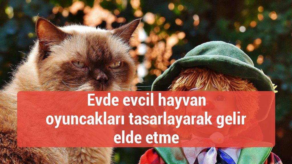 Evde evcil hayvan oyuncakları tasarlayarak gelir elde etme