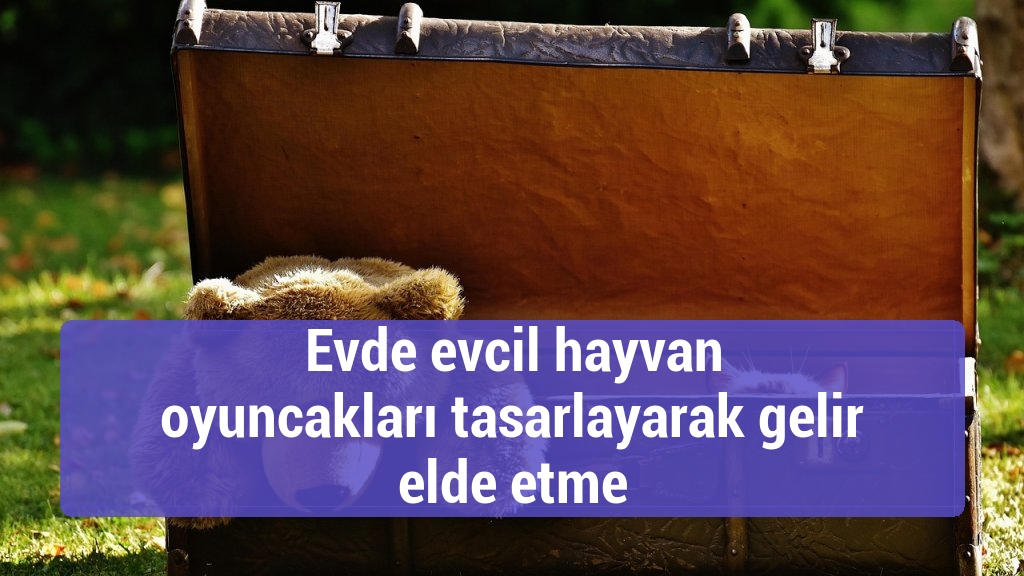 Evde evcil hayvan oyuncakları tasarlayarak gelir elde etme