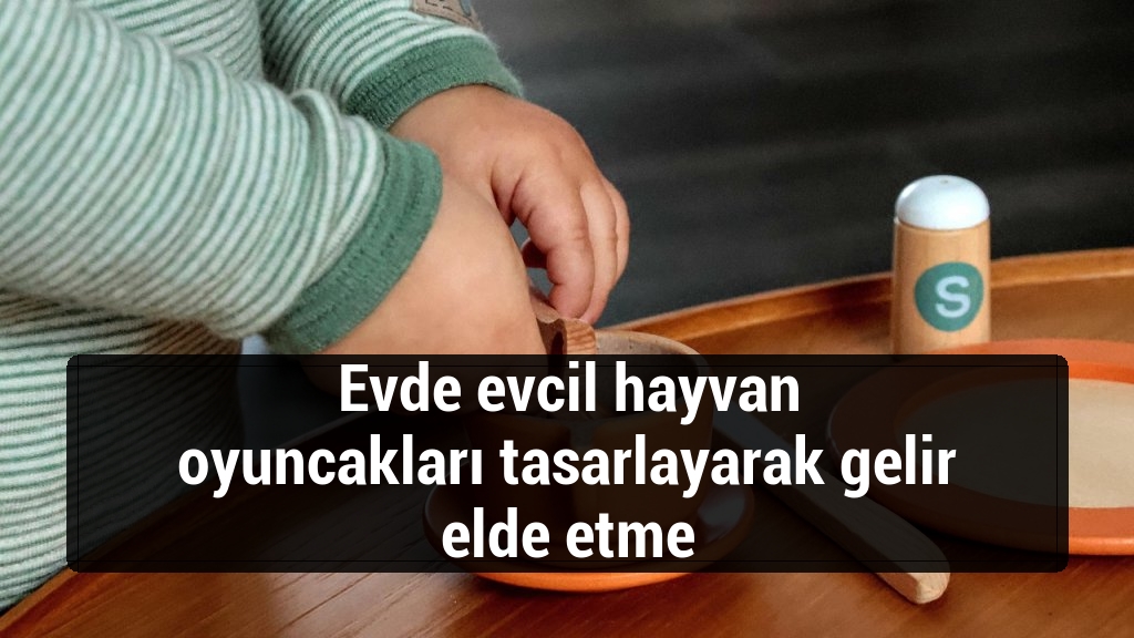 Evde evcil hayvan oyuncakları tasarlayarak gelir elde etme