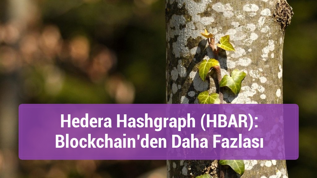 Hedera Hashgraph (HBAR): Blockchain’den Daha Fazlası