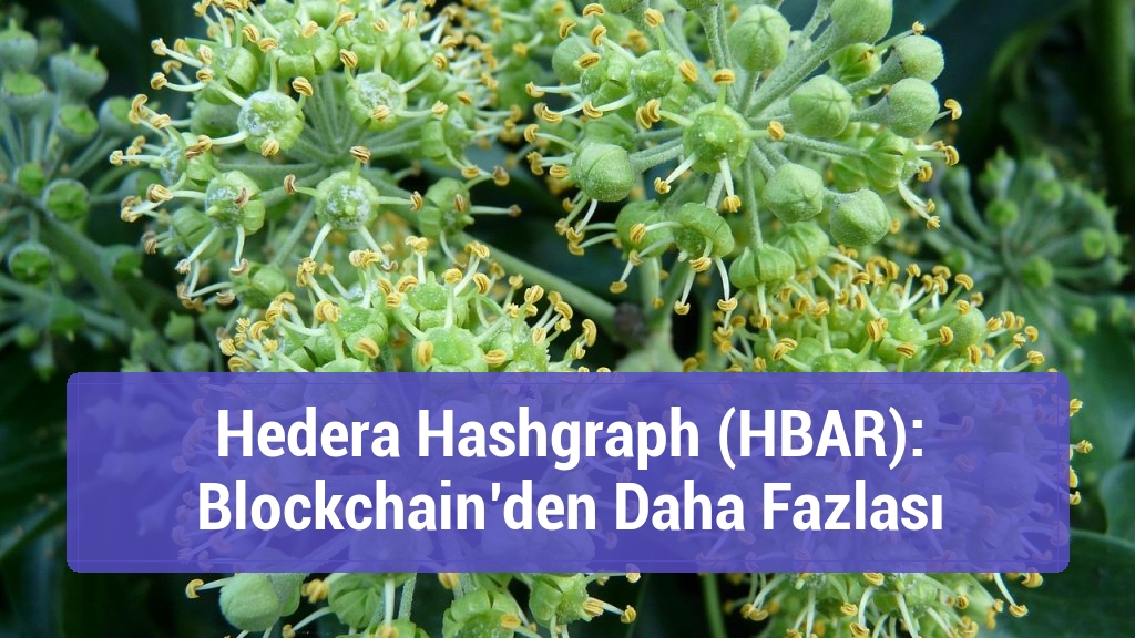 Hedera Hashgraph (HBAR): Blockchain’den Daha Fazlası