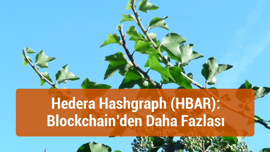 Hedera Hashgraph (HBAR): Blockchain’den Daha Fazlası