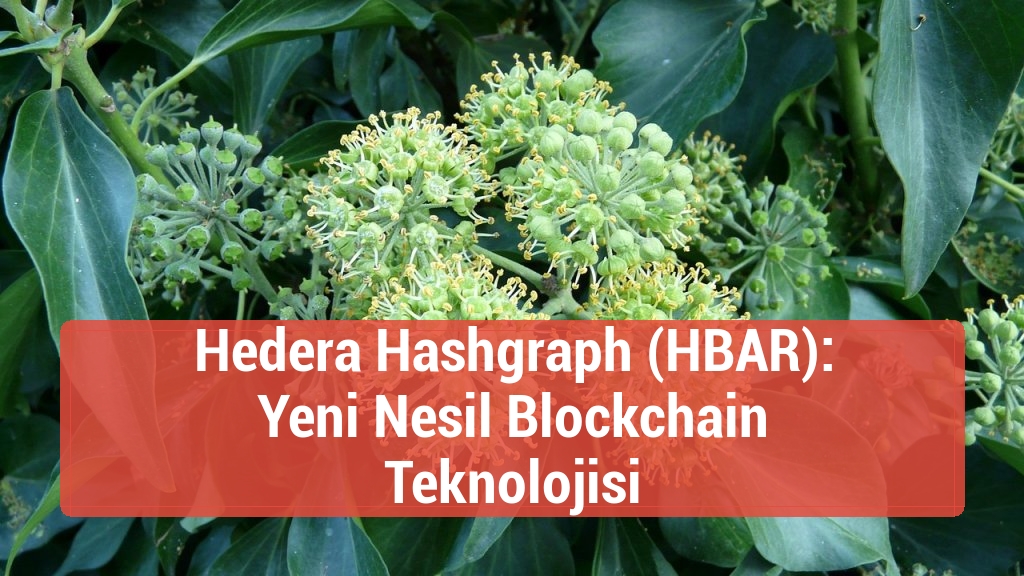 Hedera Hashgraph (HBAR): Yeni Nesil Blockchain Teknolojisi