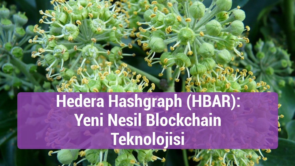 Hedera Hashgraph (HBAR): Yeni Nesil Blockchain Teknolojisi
