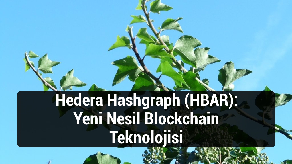 Hedera Hashgraph (HBAR): Yeni Nesil Blockchain Teknolojisi