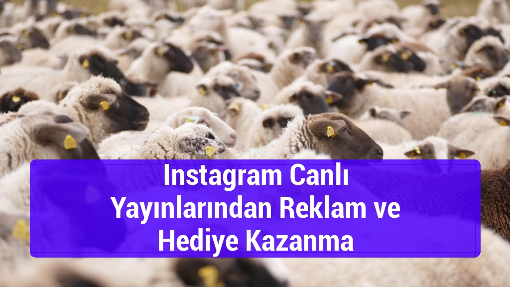 Instagram Canlı Yayınlarından Reklam ve Hediye Kazanma