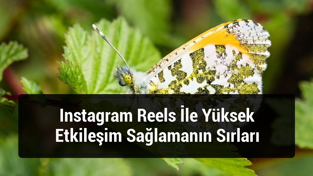 Instagram Reels İle Yüksek Etkileşim Sağlamanın Sırları