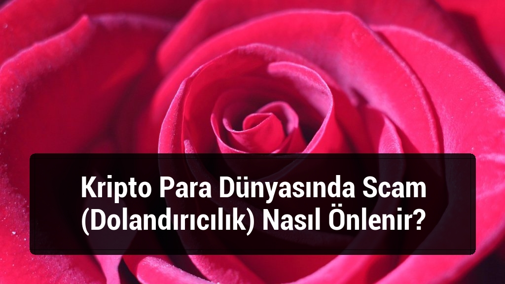Kripto Para Dünyasında Scam (Dolandırıcılık) Nasıl Önlenir?