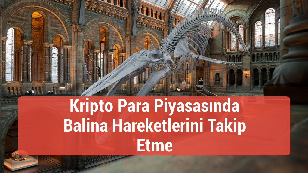 Kripto Para Piyasasında Balina Hareketlerini Takip Etme