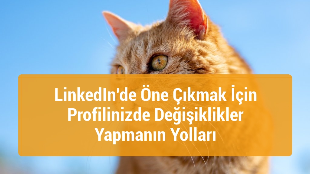 LinkedIn'de Öne Çıkmak İçin Profilinizde Değişiklikler Yapmanın Yolları