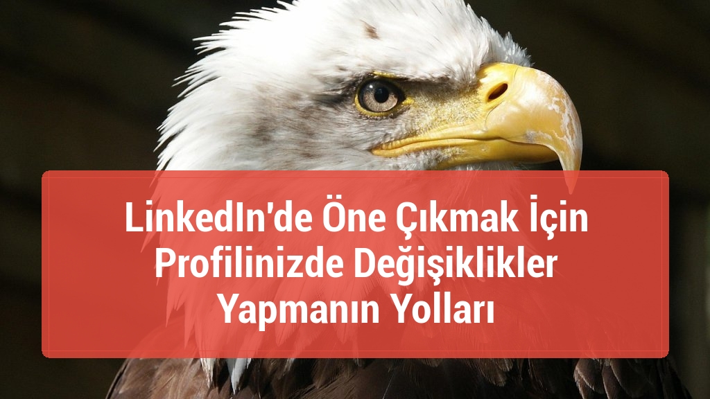 LinkedIn'de Öne Çıkmak İçin Profilinizde Değişiklikler Yapmanın Yolları