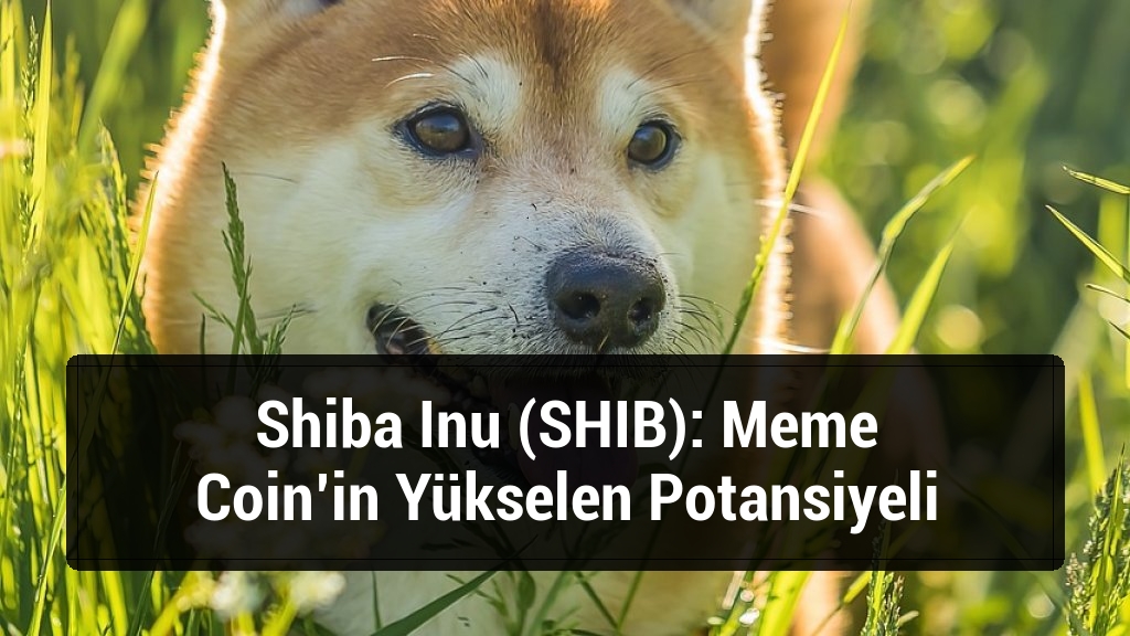 Shiba Inu (SHIB): Meme Coin’in Yükselen Potansiyeli