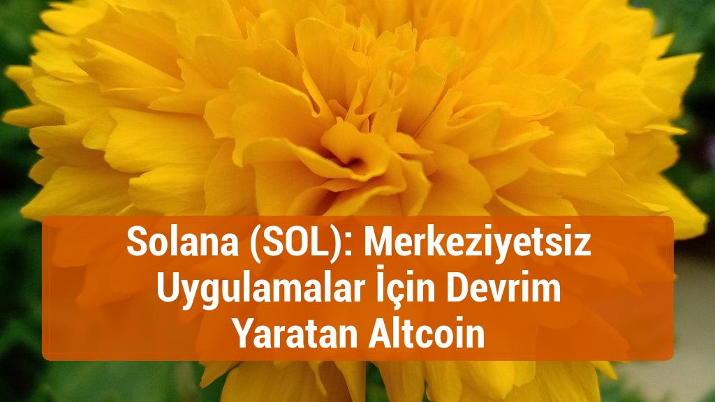 Solana (SOL): Merkeziyetsiz Uygulamalar İçin Devrim Yaratan Altcoin