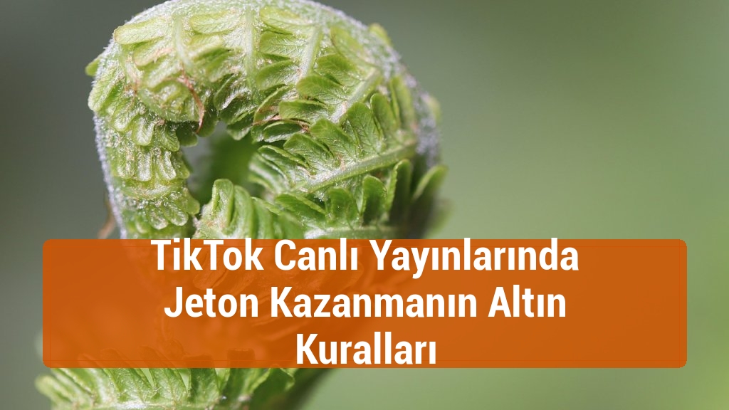 TikTok Canlı Yayınlarında Jeton Kazanmanın Altın Kuralları