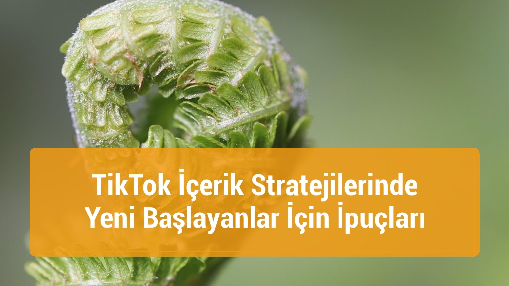 TikTok İçerik Stratejilerinde Yeni Başlayanlar İçin İpuçları