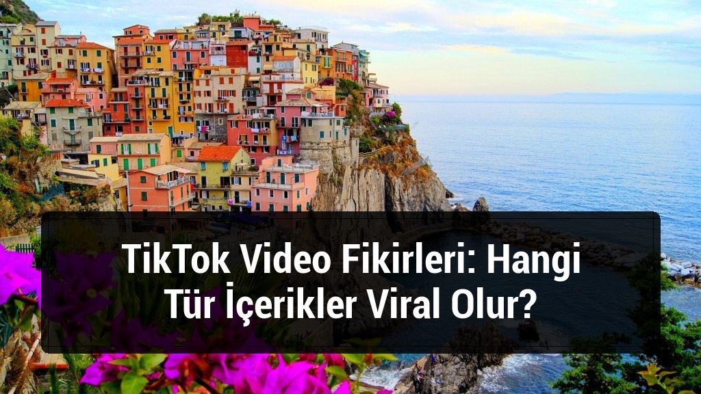 TikTok Video Fikirleri: Hangi Tür İçerikler Viral Olur?