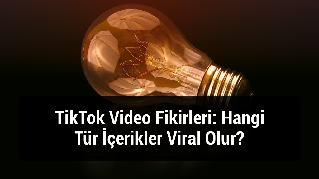 TikTok Video Fikirleri: Hangi Tür İçerikler Viral Olur?