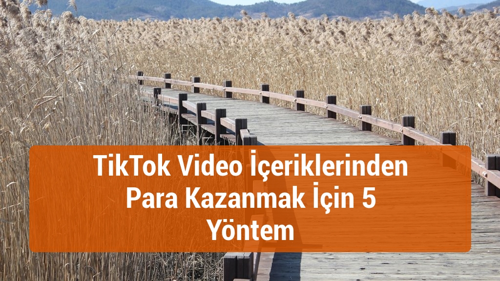 TikTok Video İçeriklerinden Para Kazanmak İçin 5 Yöntem