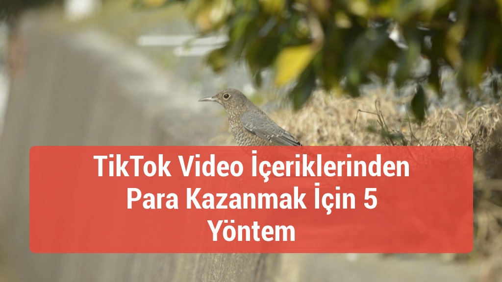 TikTok Video İçeriklerinden Para Kazanmak İçin 5 Yöntem