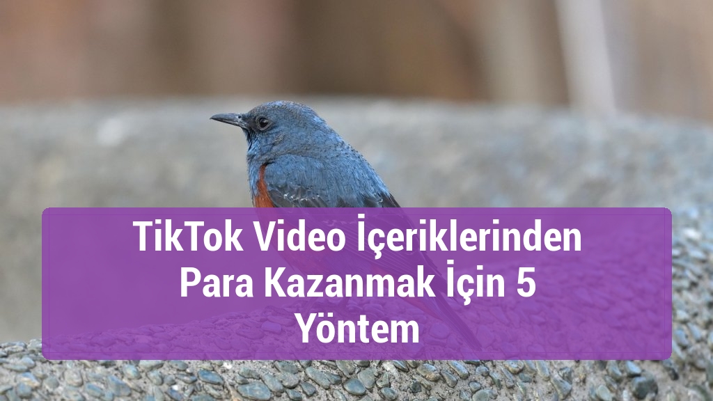 TikTok Video İçeriklerinden Para Kazanmak İçin 5 Yöntem