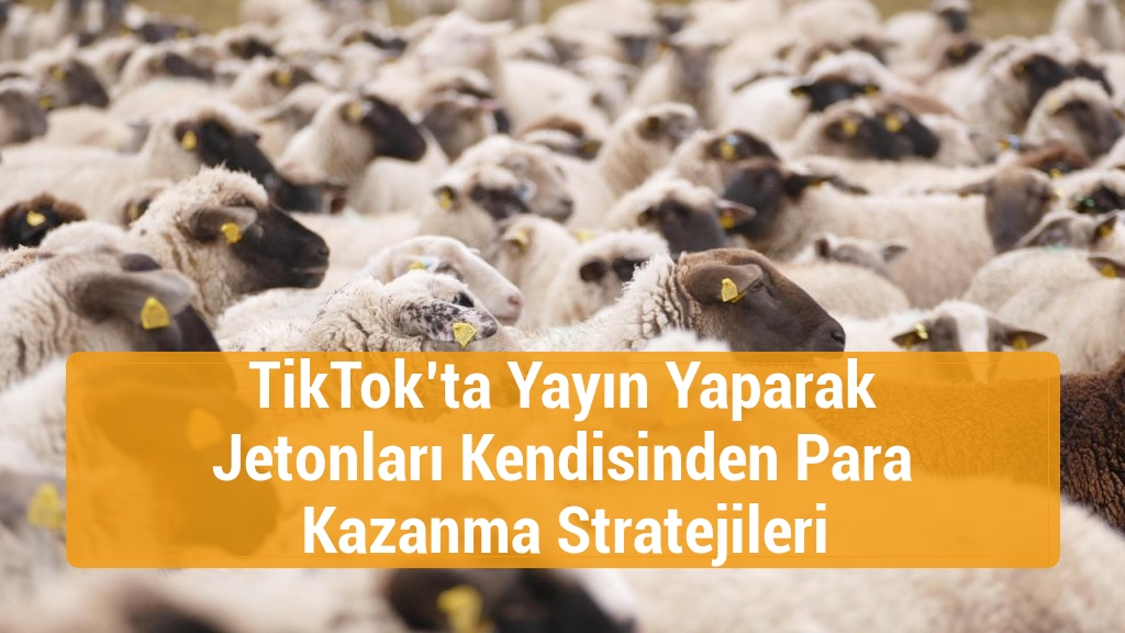 TikTok’ta Yayın Yaparak Jetonları Kendisinden Para Kazanma Stratejileri
