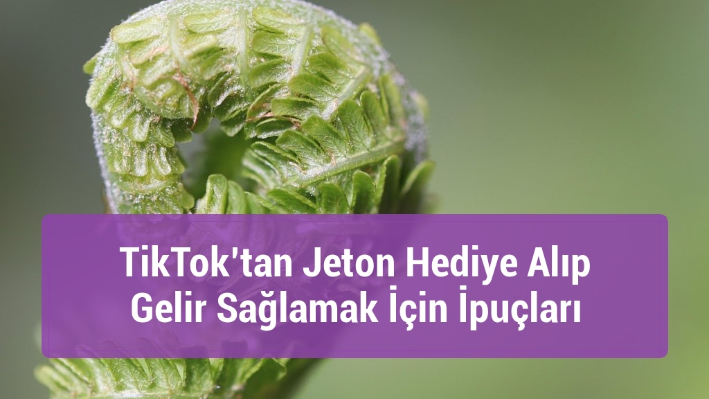 TikTok’tan Jeton Hediye Alıp Gelir Sağlamak İçin İpuçları