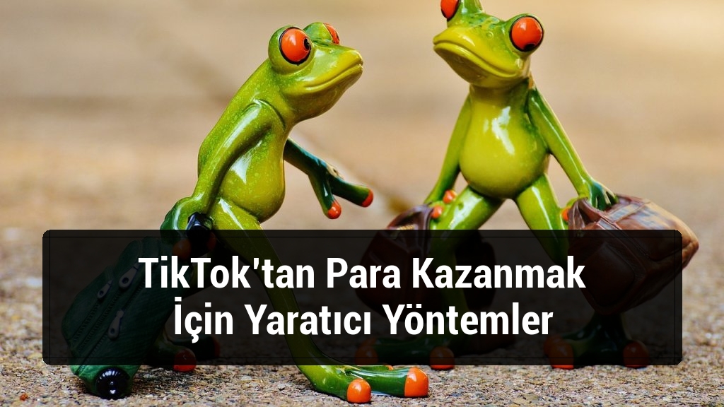 TikTok’tan Para Kazanmak İçin Yaratıcı Yöntemler