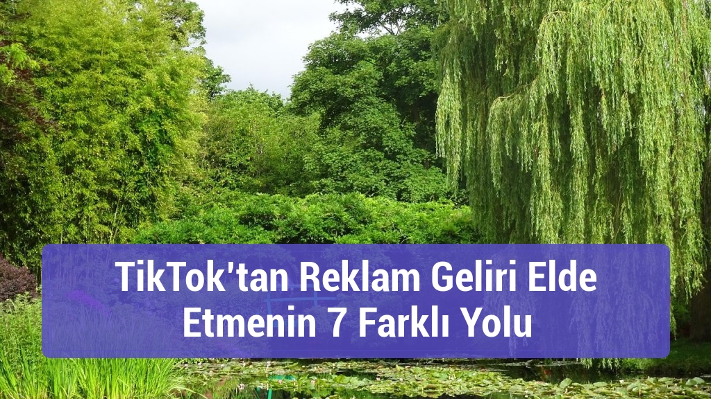 TikTok’tan Reklam Geliri Elde Etmenin 7 Farklı Yolu
