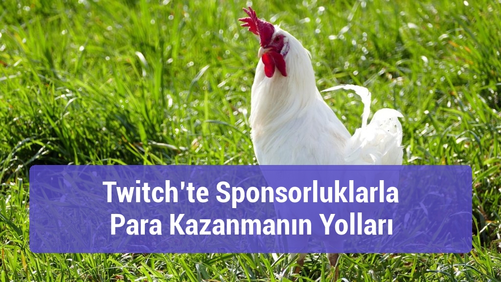 Twitch’te Sponsorluklarla Para Kazanmanın Yolları