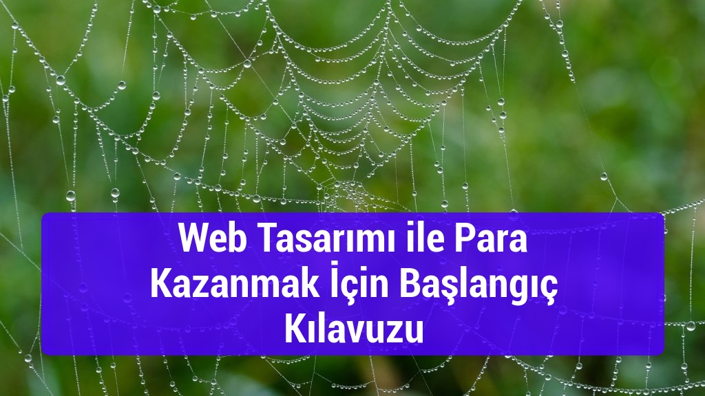 Web Tasarımı ile Para Kazanmak İçin Başlangıç Kılavuzu