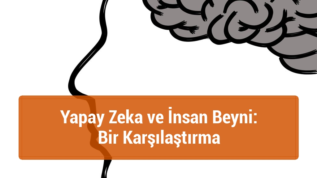 Yapay Zeka ve İnsan Beyni: Bir Karşılaştırma