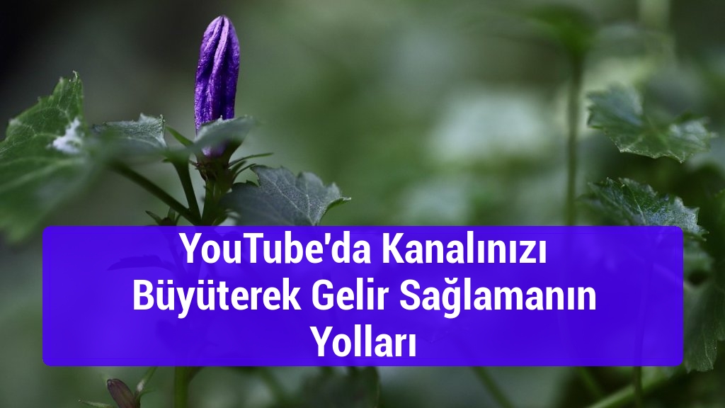 YouTube'da Kanalınızı B&uuml;y&uuml;terek Gelir Sağlamanın Yolları