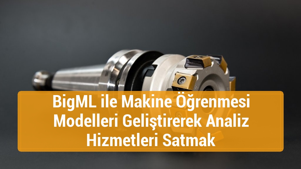 BigML ile Makine Öğrenmesi Modelleri Geliştirerek Analiz Hizmetleri Satmak