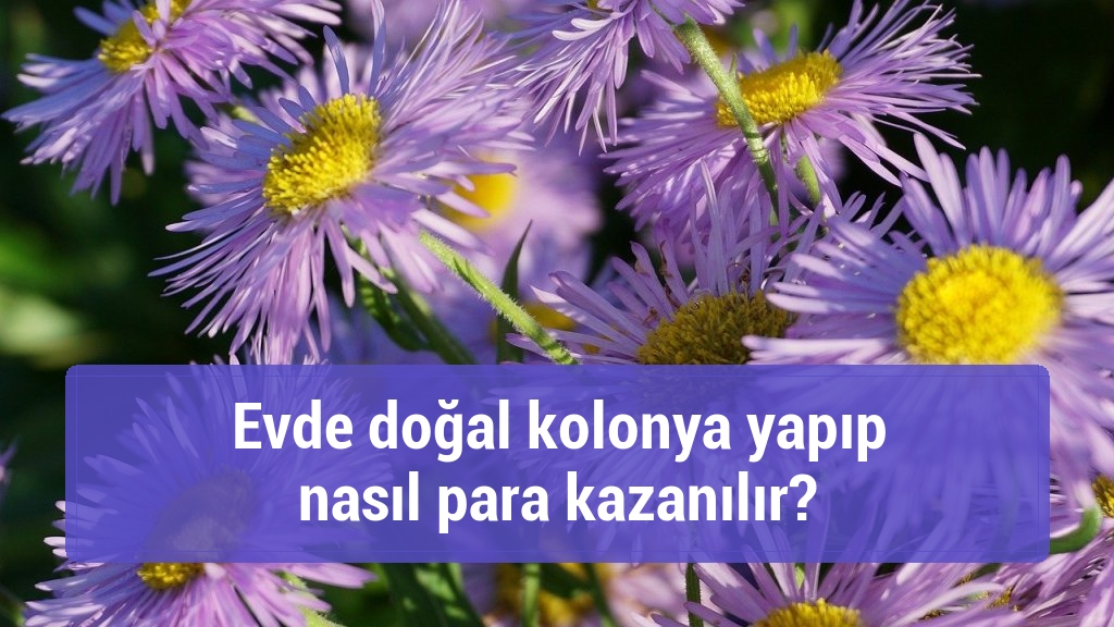 Evde doğal kolonya yapıp nasıl para kazanılır?