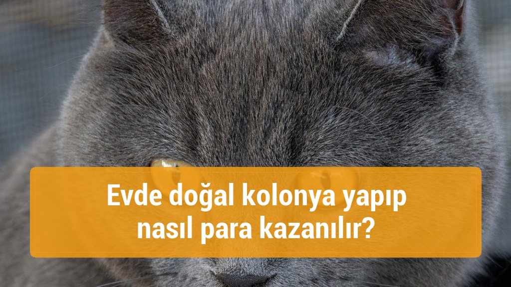 Evde doğal kolonya yapıp nasıl para kazanılır?