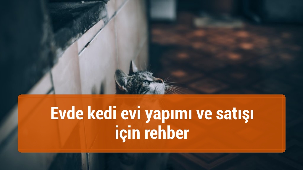 Evde kedi evi yapımı ve satışı için rehber