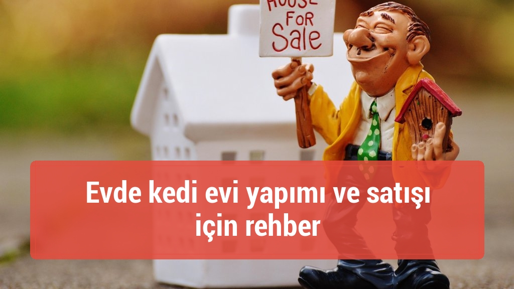 Evde kedi evi yapımı ve satışı için rehber
