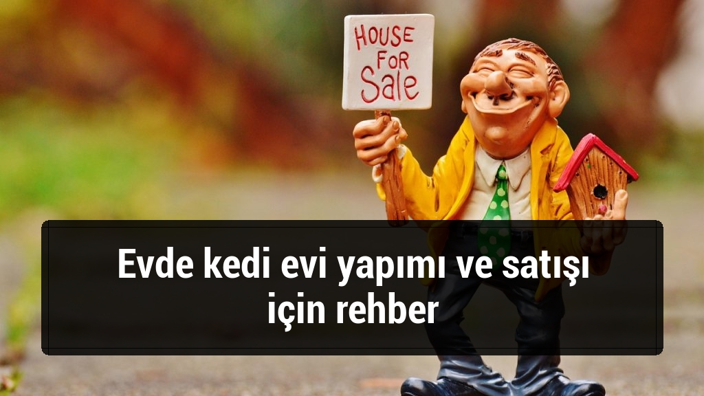 Evde kedi evi yapımı ve satışı için rehber