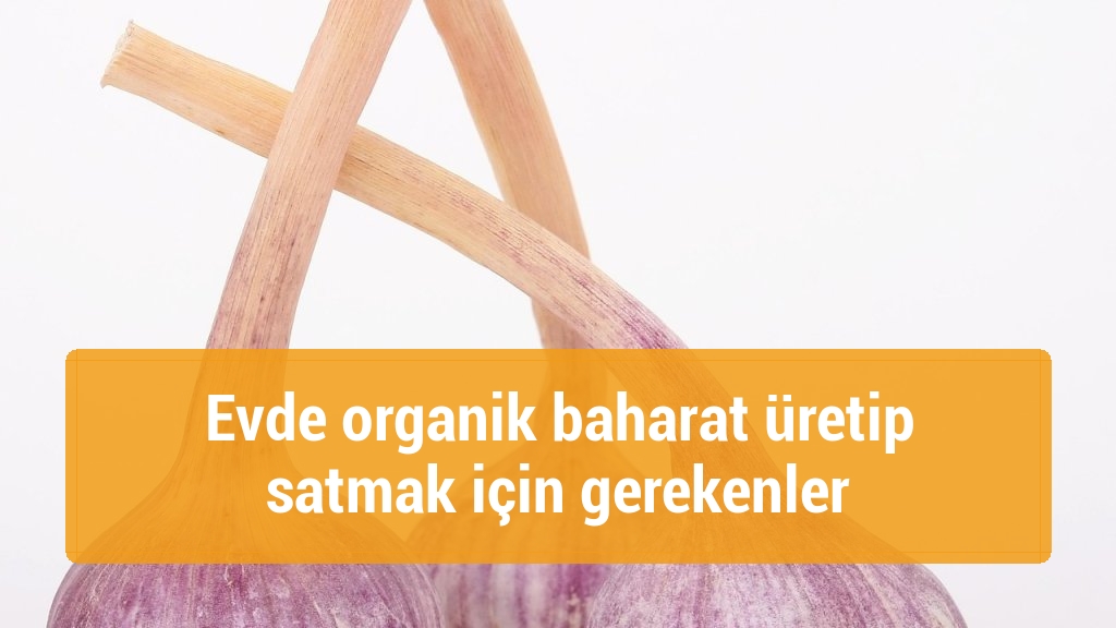 Evde organik baharat üretip satmak için gerekenler