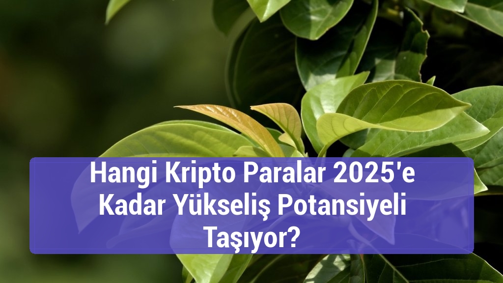 Hangi Kripto Paralar 2025’e Kadar Yükseliş Potansiyeli Taşıyor?
