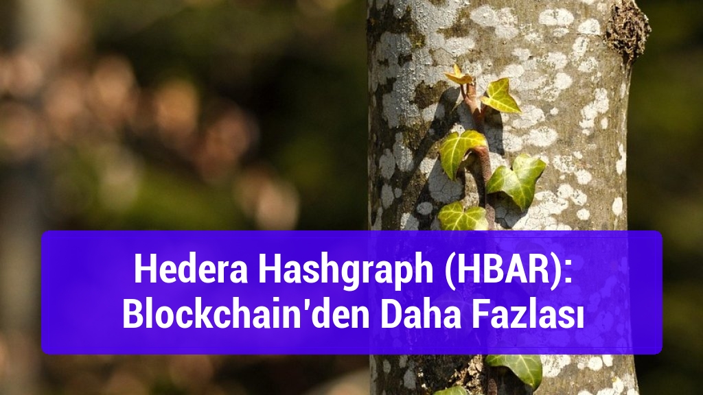 Hedera Hashgraph (HBAR): Blockchain’den Daha Fazlası